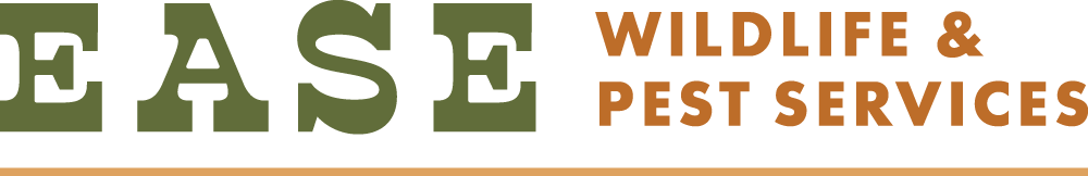 Ease Wildlife & Pest Services